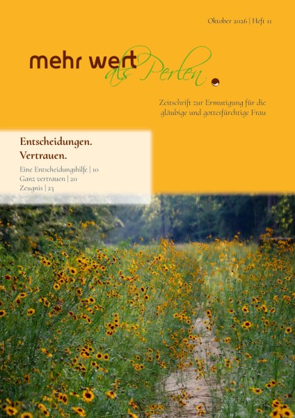 Heft 11: Entscheidungen. Vertrauen.